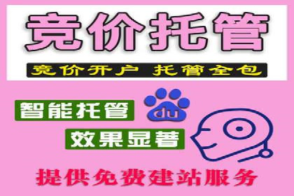 百度广告竞价优化技巧及成功案例分享